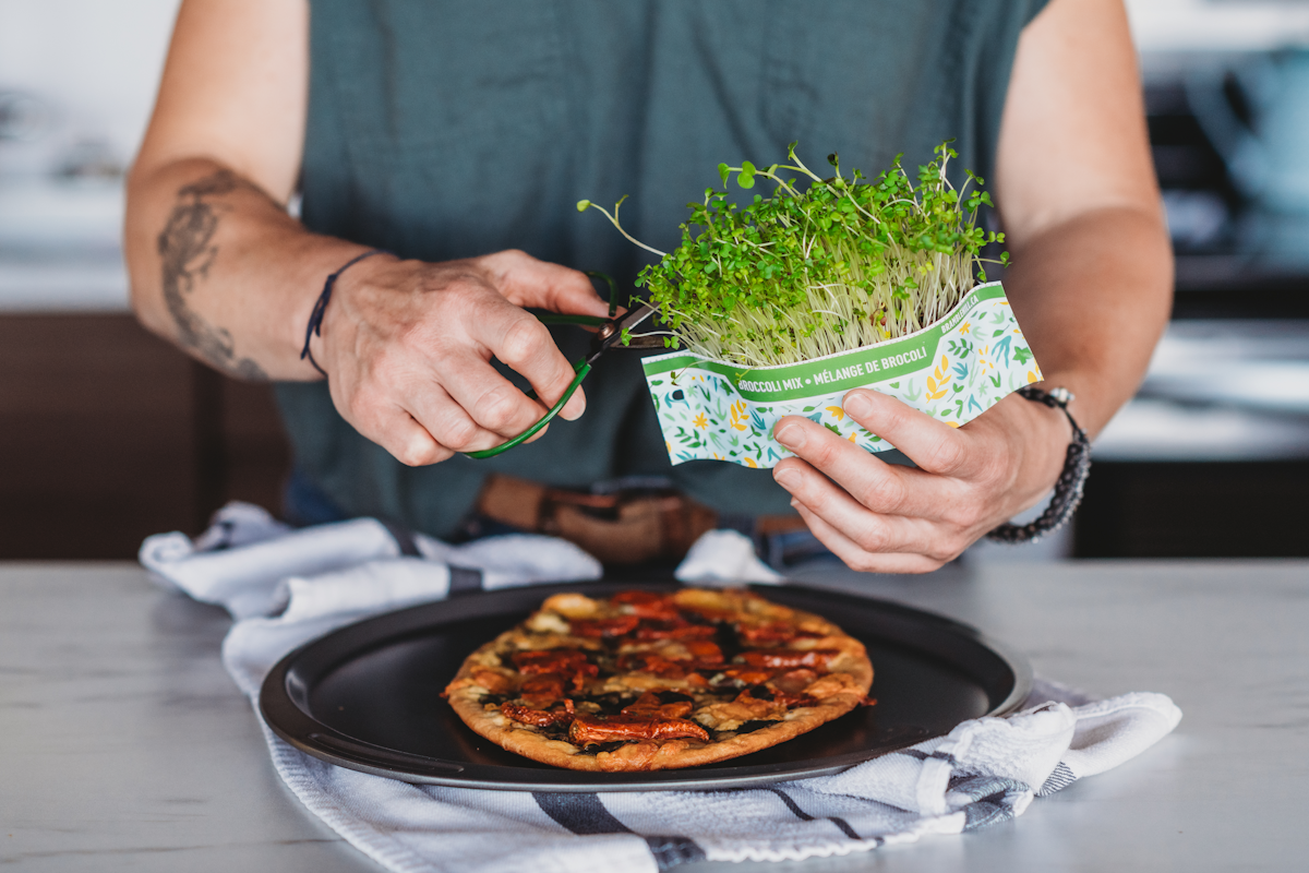 3-Pack Mixed Variety Kits - Pea Shoot, Sunflower Shoot, & Broccoli Mix