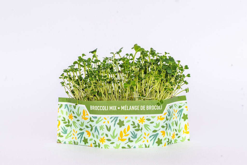 Micro Garden Microgreens Kit - Broccoli Mix