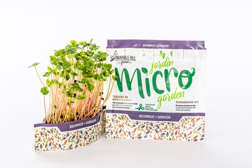 Our Best Value — 6-Pack Microgreen & Sprout Bundle!