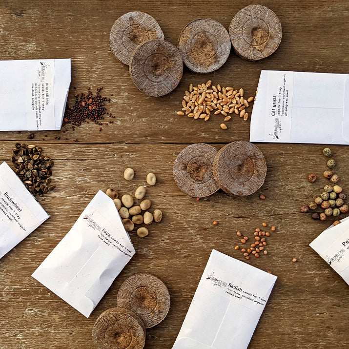 Bramble Hill Farm micro gardens for microgreens