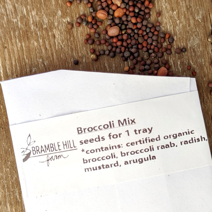 Bramble Hill Farm micro gardens for microgreens broccoli mix