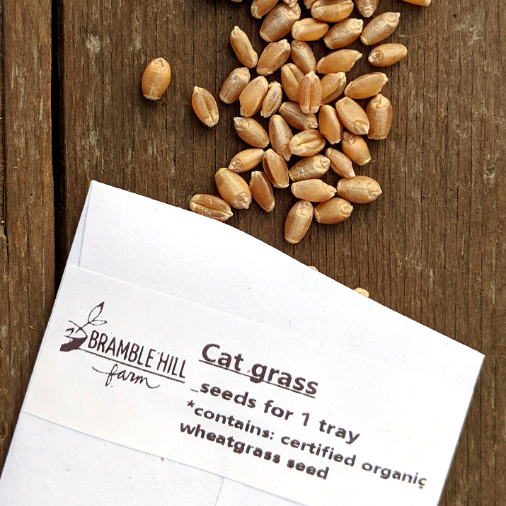 Bramble Hill Farm micro gardens for microgreens cat grass