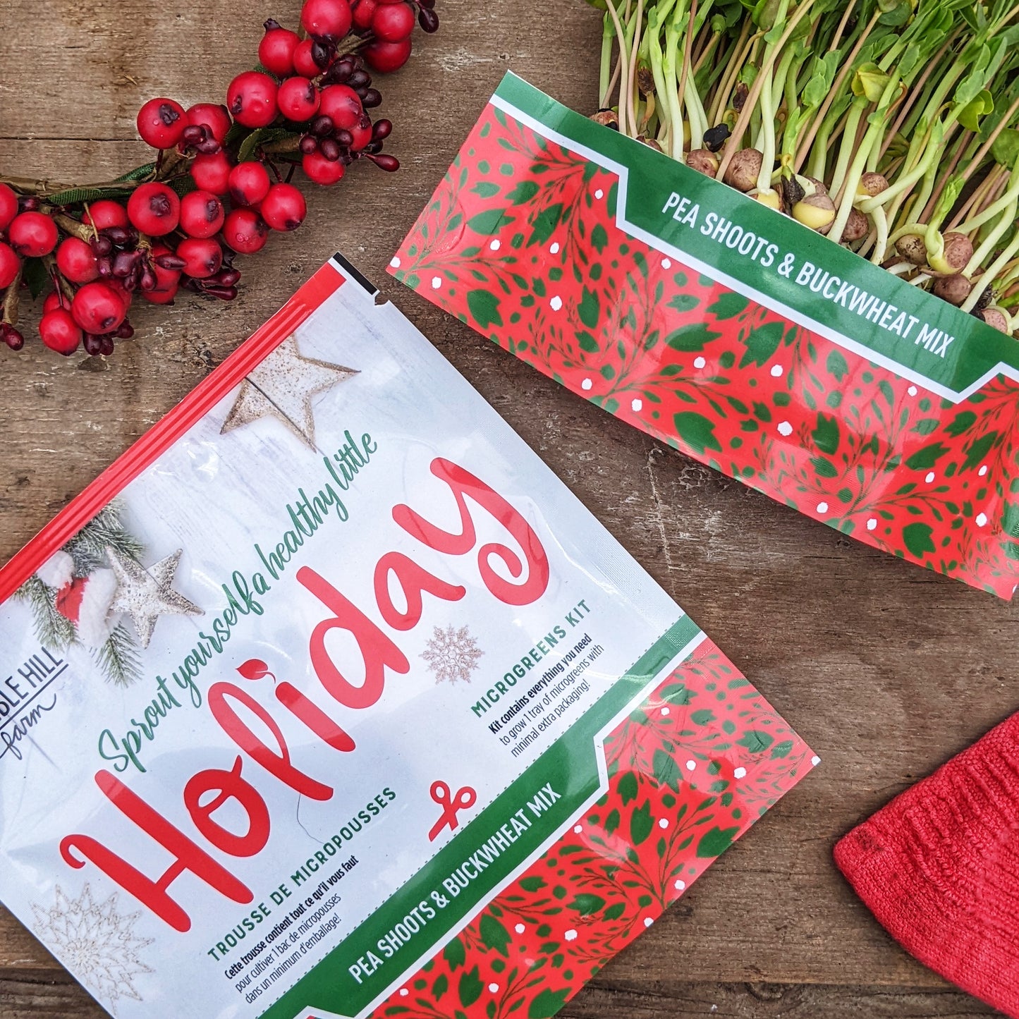 Bramble Hill Farm micro gardens for microgreens holiday mix