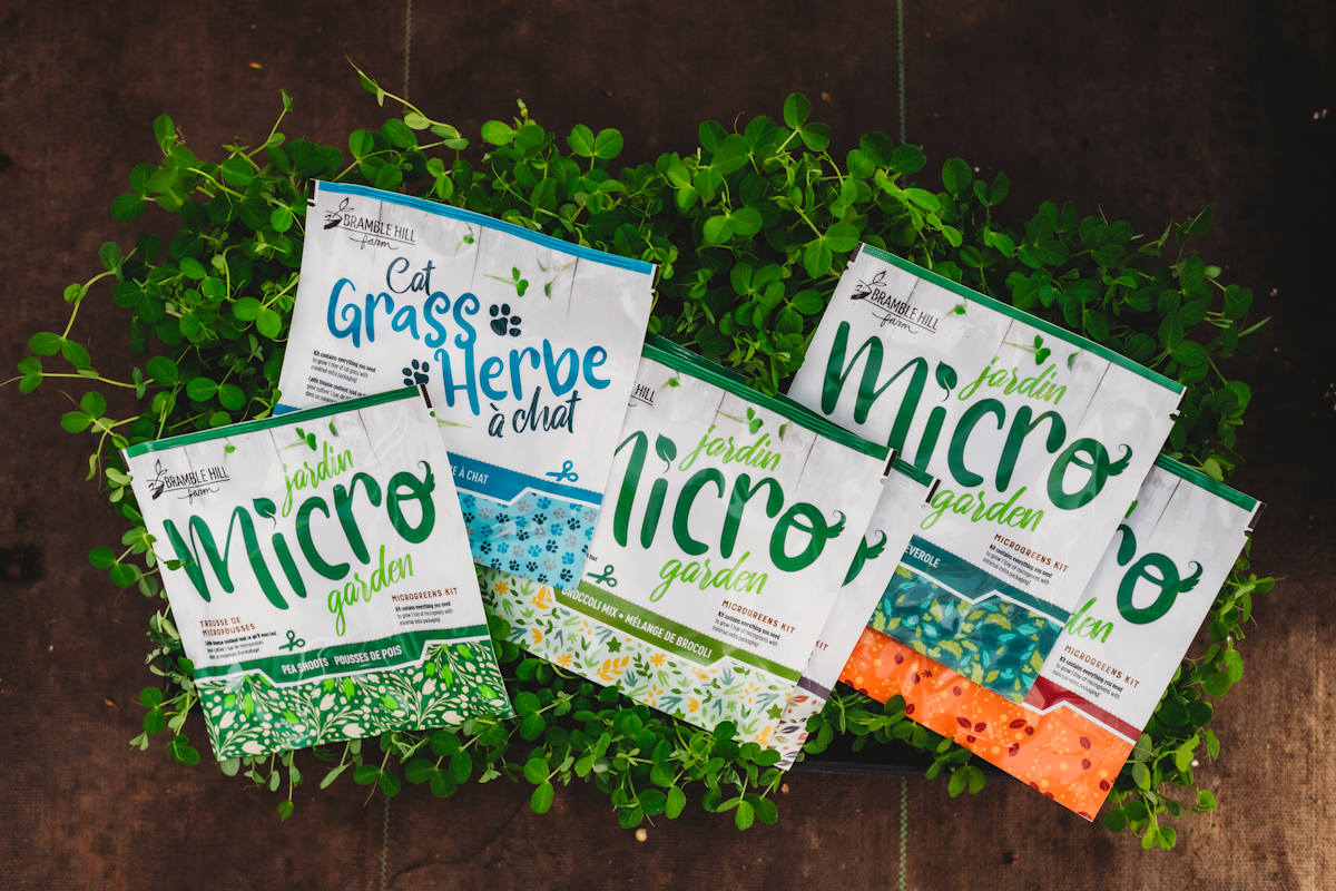 Load video: How to grow sunflower shoots