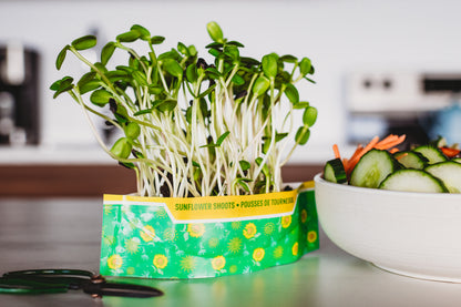 3-Pack Mixed Variety Kits - Pea Shoot, Sunflower Shoot, & Broccoli Mix