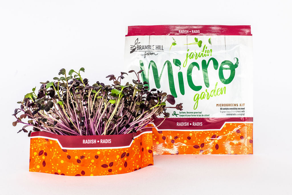Load video: How to grow sunflower shoots