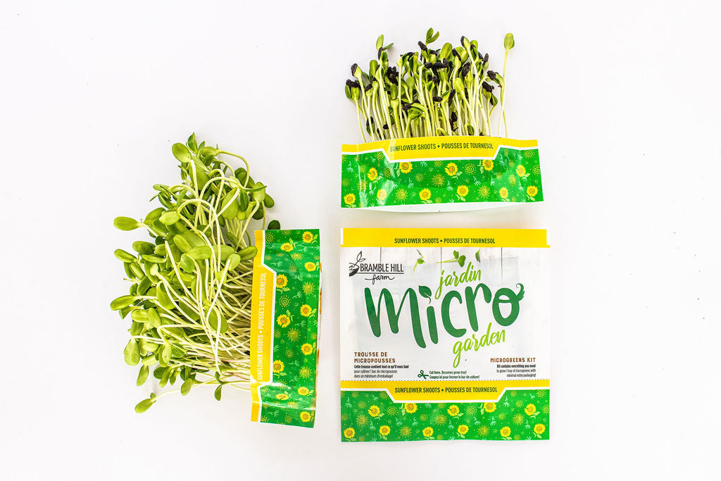 Load video: How to grow sunflower shoots