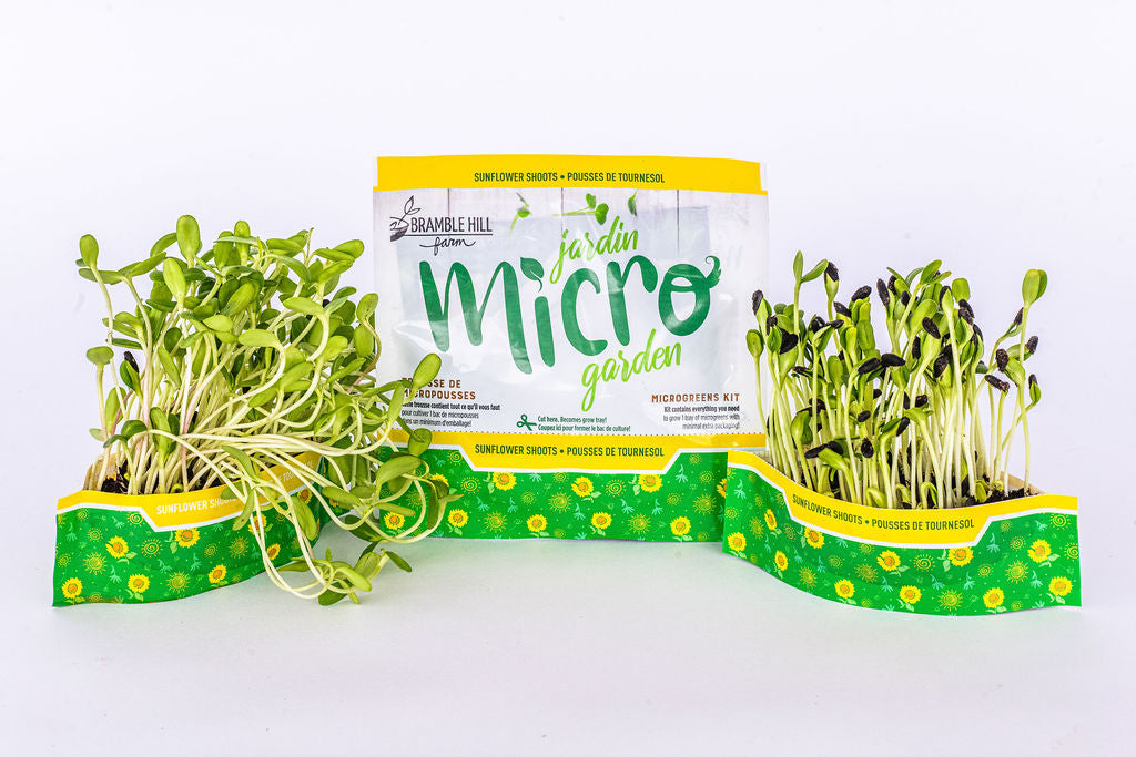 Our Best Value — 6-Pack Microgreen & Sprout Bundle!
