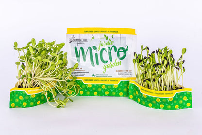 Our Best Value — 6-Pack Microgreen & Sprout Bundle!