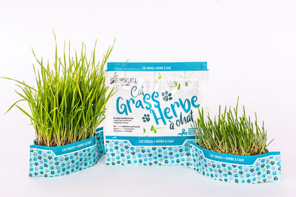 Micro Garden Microgreens Kit Bundle - Pea Shoots, Cat Grass & Fava
