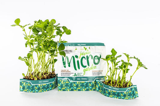 Micro Garden Microgreens Kit - Fava