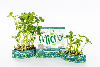 Micro Garden Microgreens Kit Bundle - Pea Shoots, Cat Grass & Fava