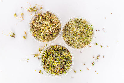 Sprout Garden - Broccoli Mix