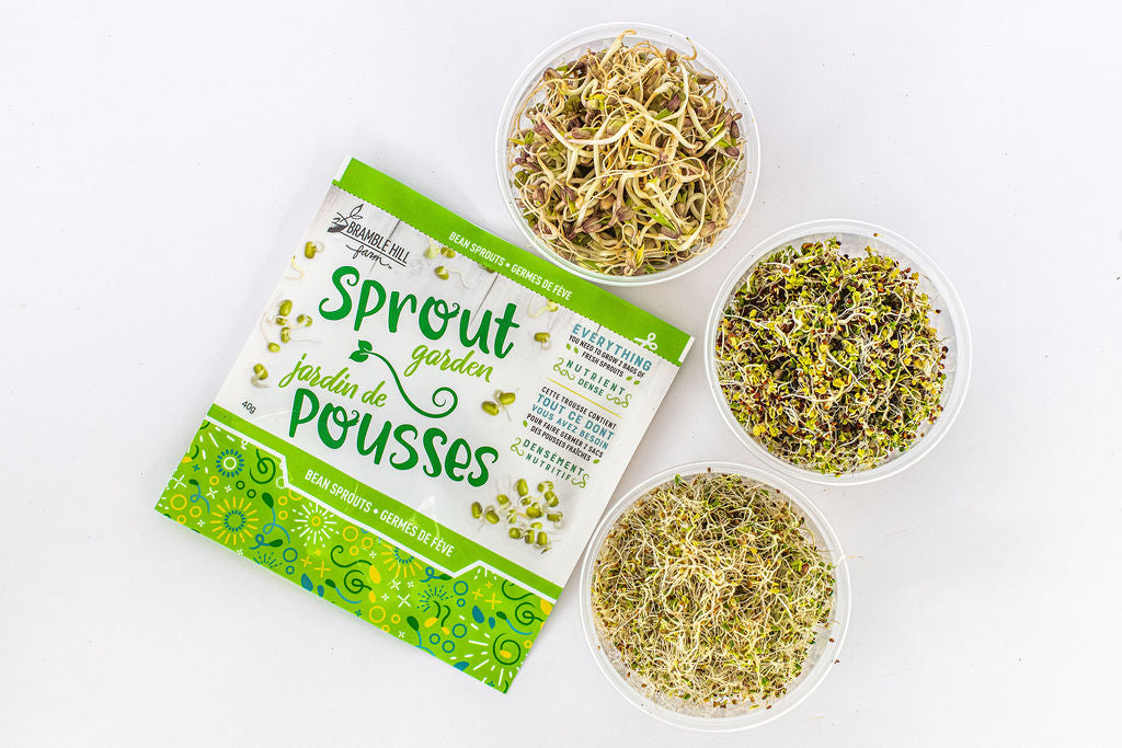 Our Best Value — 6-Pack Microgreen & Sprout Bundle!