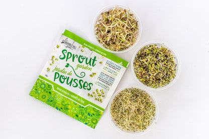 Our Best Value — 6-Pack Microgreen & Sprout Bundle!