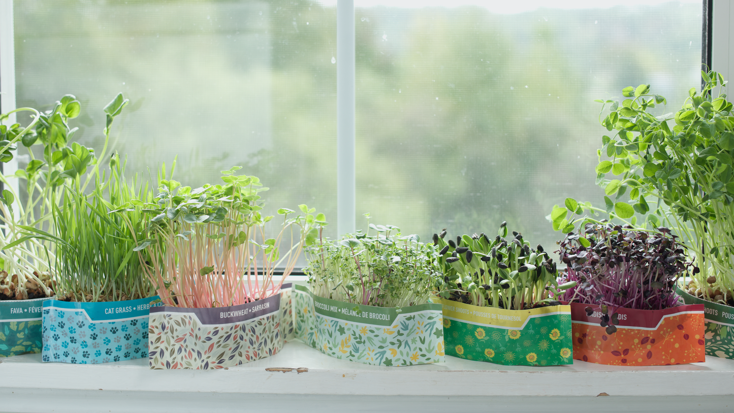 3 pack - Micro Garden Microgreens Kits - Radish, Broccoli & Pea shoots.