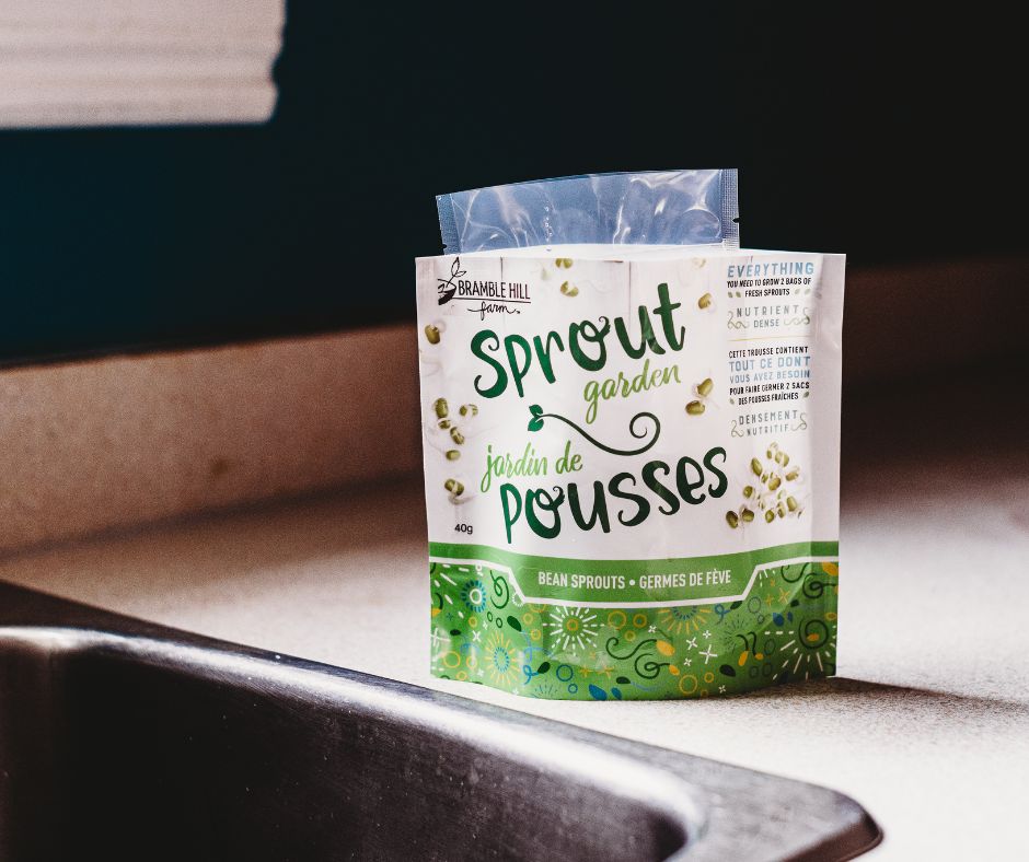 6-Pack: 3 x Microgreens & 3 x Sprout kits 🌱