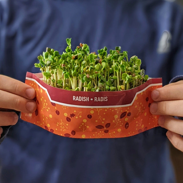 Bramble Hill Farm micro gardens for microgreens fully grown radish